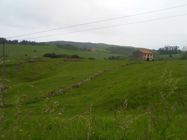 Paisaje en el camino hacia Oreña. Cantabria