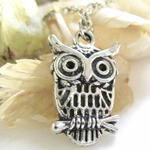 Horned Owl Antique Silver Necklace via Etsy