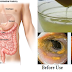 This Drink Will Flush Out 5 Liters Of Toxins From Your Body Within 72 Hours!
