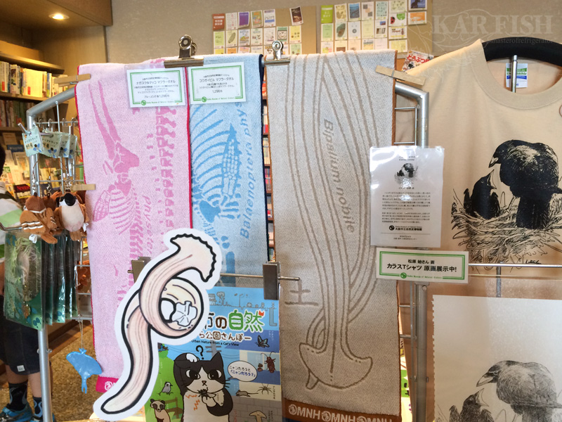 アルゼンチンの恐竜 - アマルガサウルス ハントゥイ