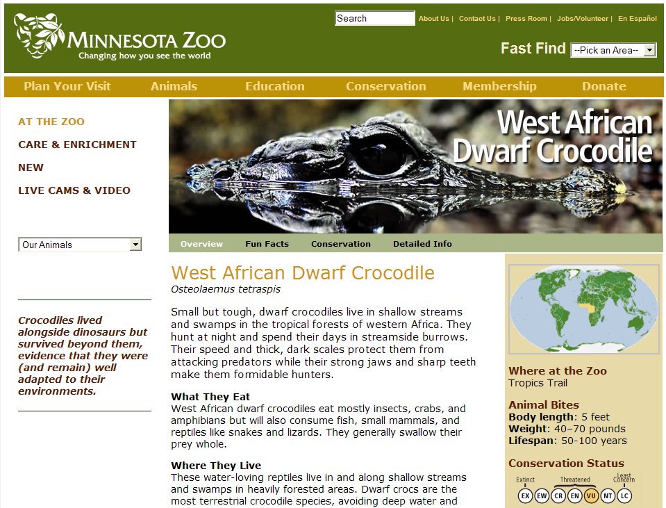 Minnesota Zoo Exhibit and Website