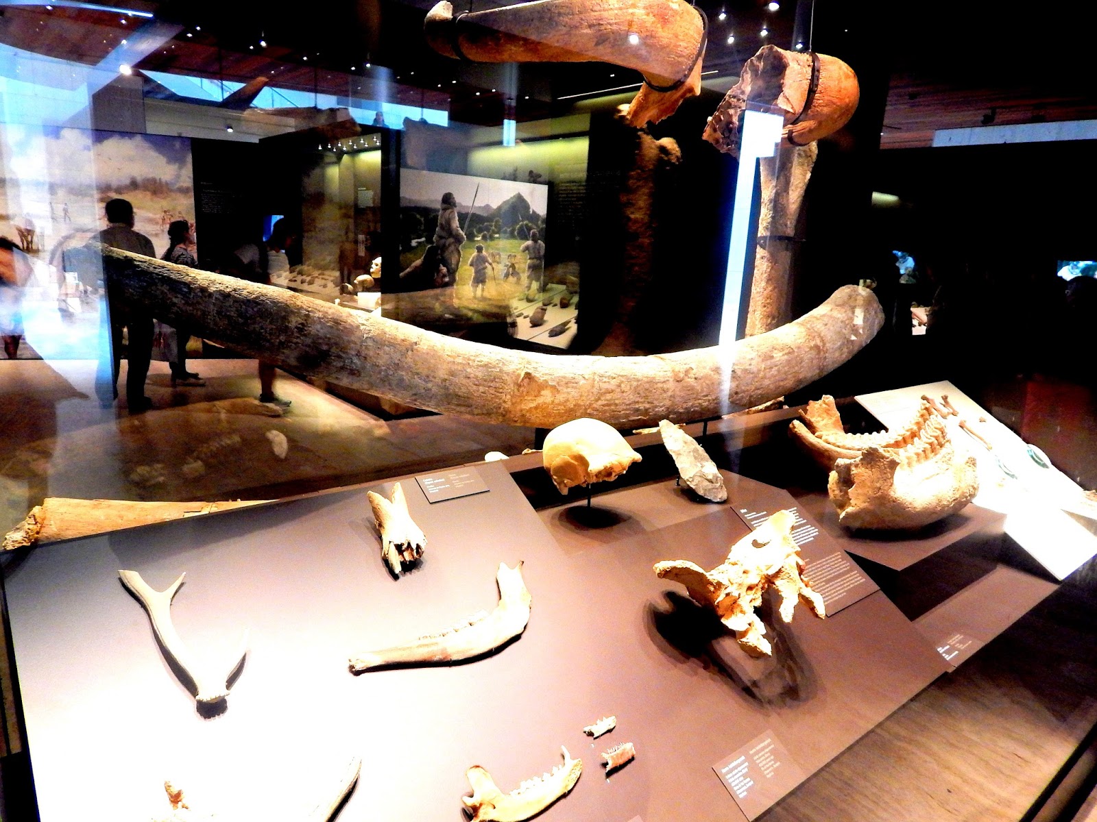 Museo Arqueológico Nacional Un paseo por