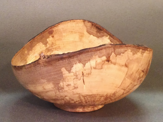 Spalted Elm