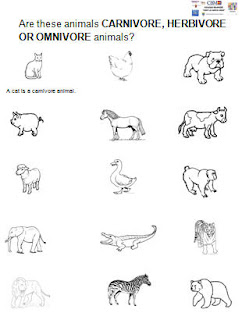 100 YEARS TEACHING CHILDREN: Are they CARNIVORE, HERBIVORE OR OMNIVORE?