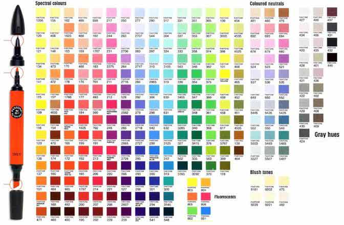 Letraset ProMarker Pennarello Verde Chiaro – Doppia Punta, Base Alcool Per Design E Illustrazione - 4