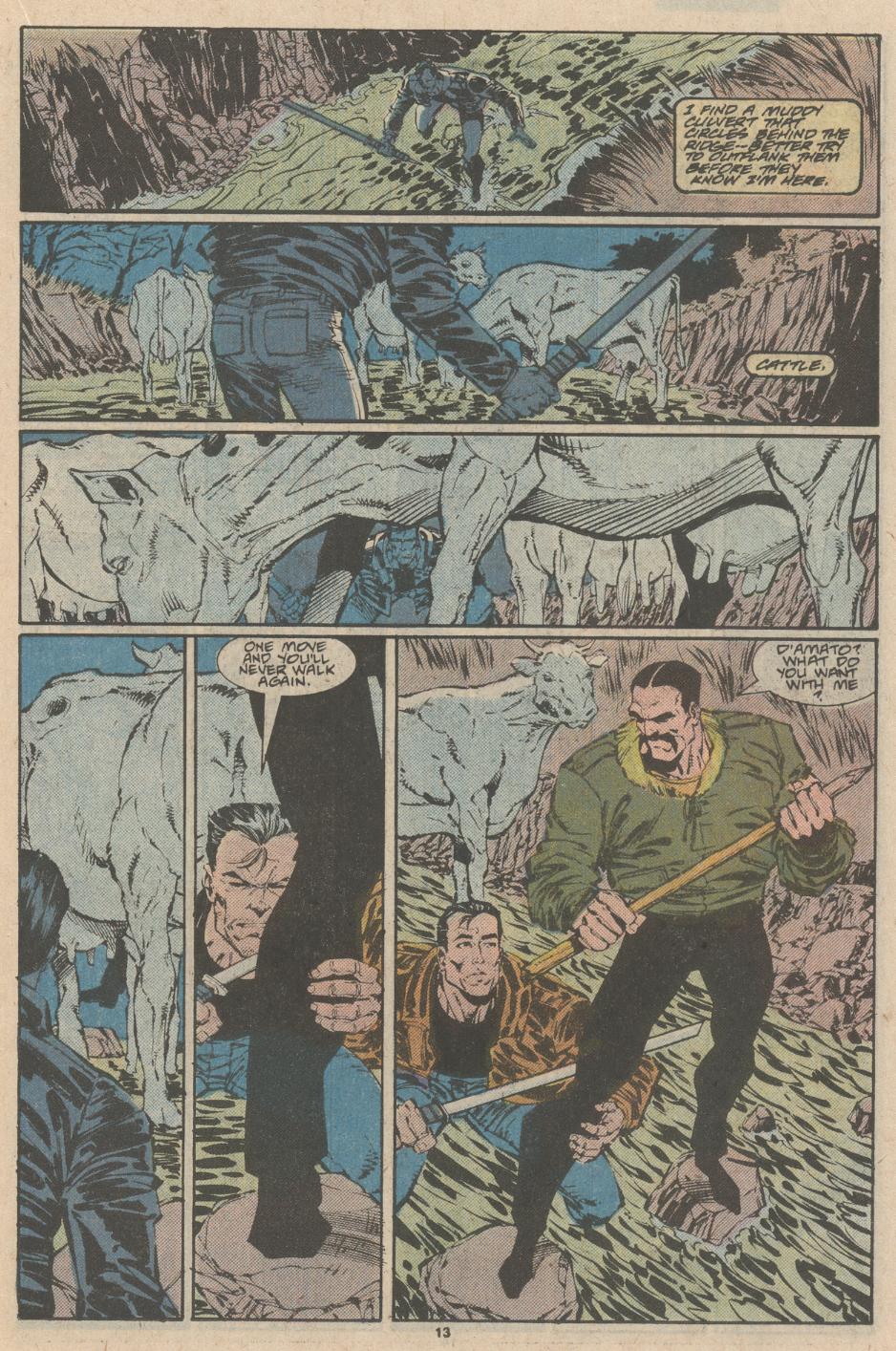 The Punisher (1987) Issue #23 - Capture the Flag! #30 - English 10