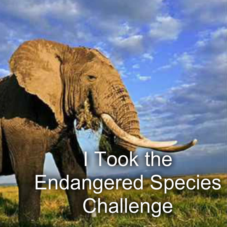 Endangered Species Challenge