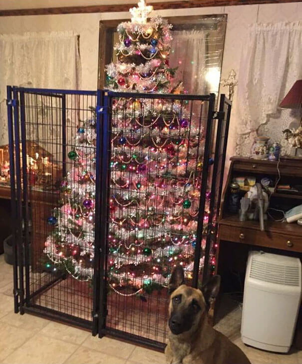 These Geniuses Found A Way To Protect Their Christmas Trees From Their Cats And Dogs These Geniuses Found A Way To Protect Their Christmas Trees From Their Cats And Dogs