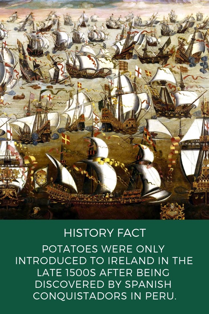 Potatoes were only introduced to Ireland in the late 1500s after being discovered by Spanish