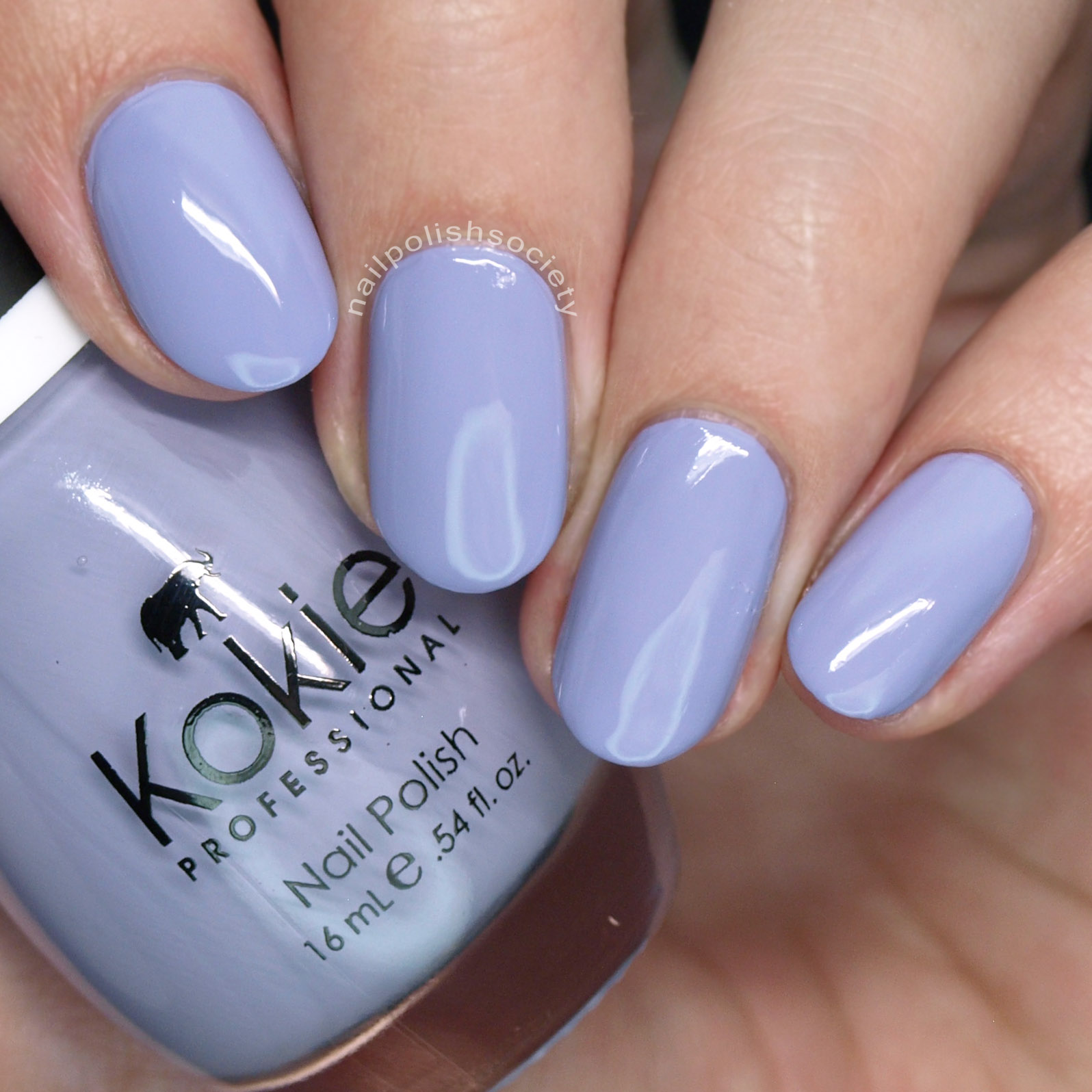Nail Polish Society Kokie Cosmetics Nail Polish Swatches