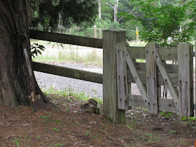 once we got out of the car