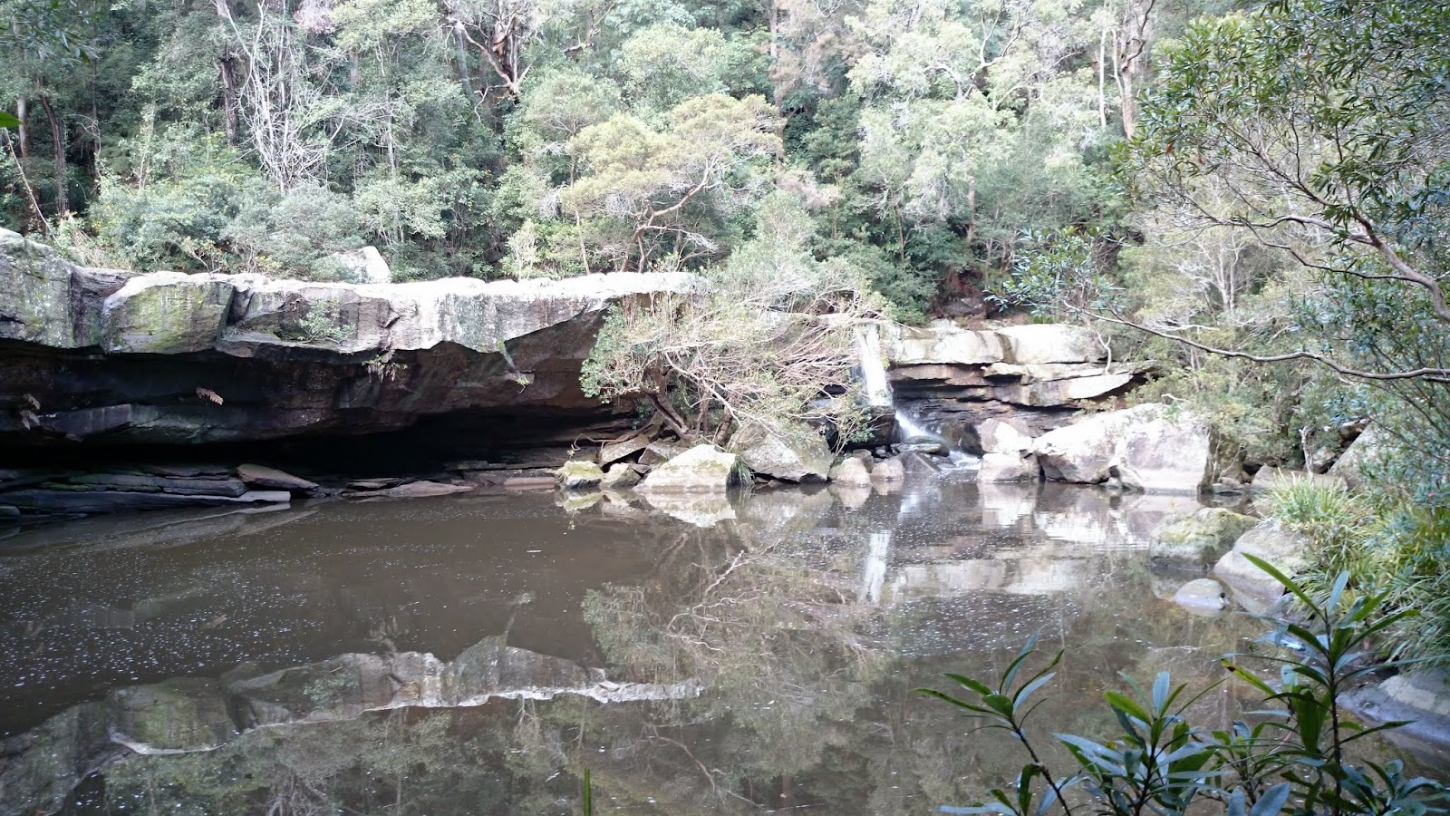 its just my life Mooney Mooney Creek Falls