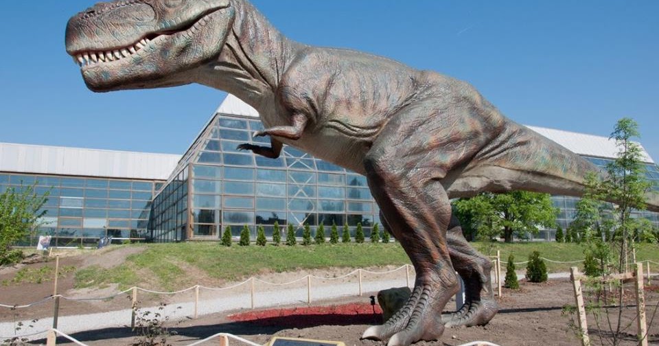 Bolchat de ulaz 2 bolchat de ulaz 2