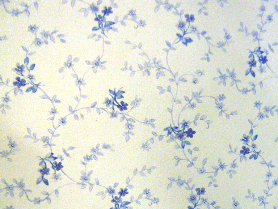 LilyOake Spare Bedroom "before" Wallpaper