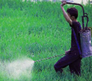 Sri Lanka banned the use of 3 verities of agro chemicals