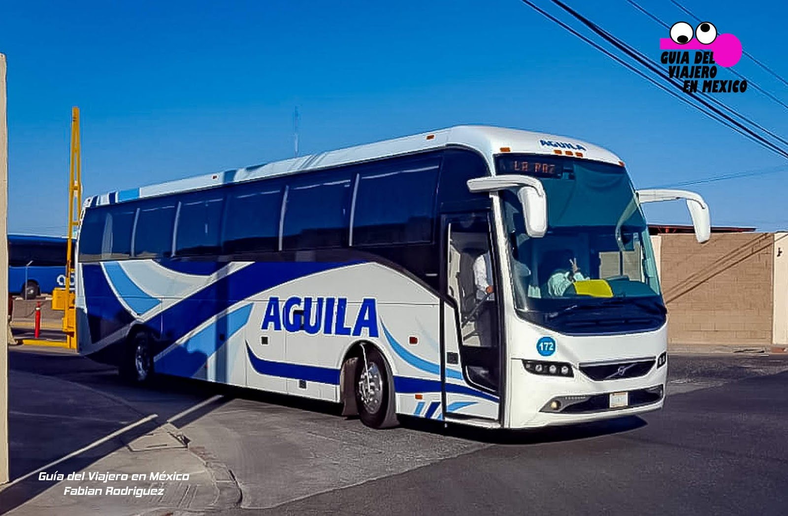 Autobuses Águila incrementa sus horarios de servicio