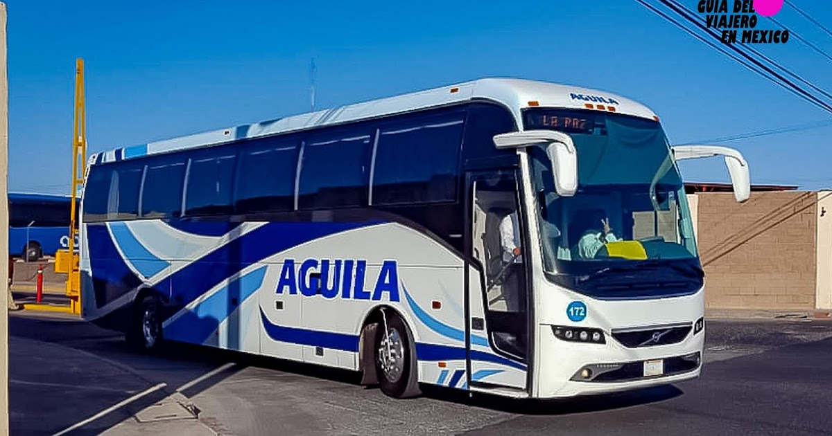 Autobuses Águila incrementa sus horarios de servicio
