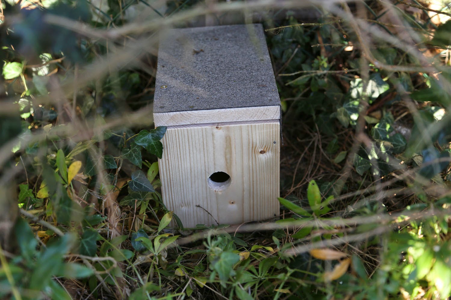 Making nest boxes part 2 small mammal boxes