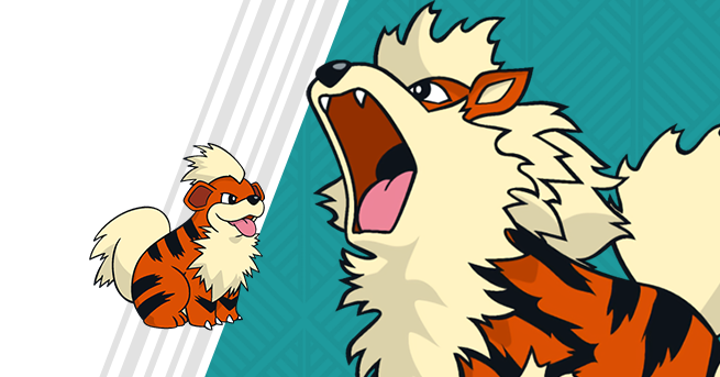 fogo pokemon, este e um cachorro de fogo o arcanine, myofkilly