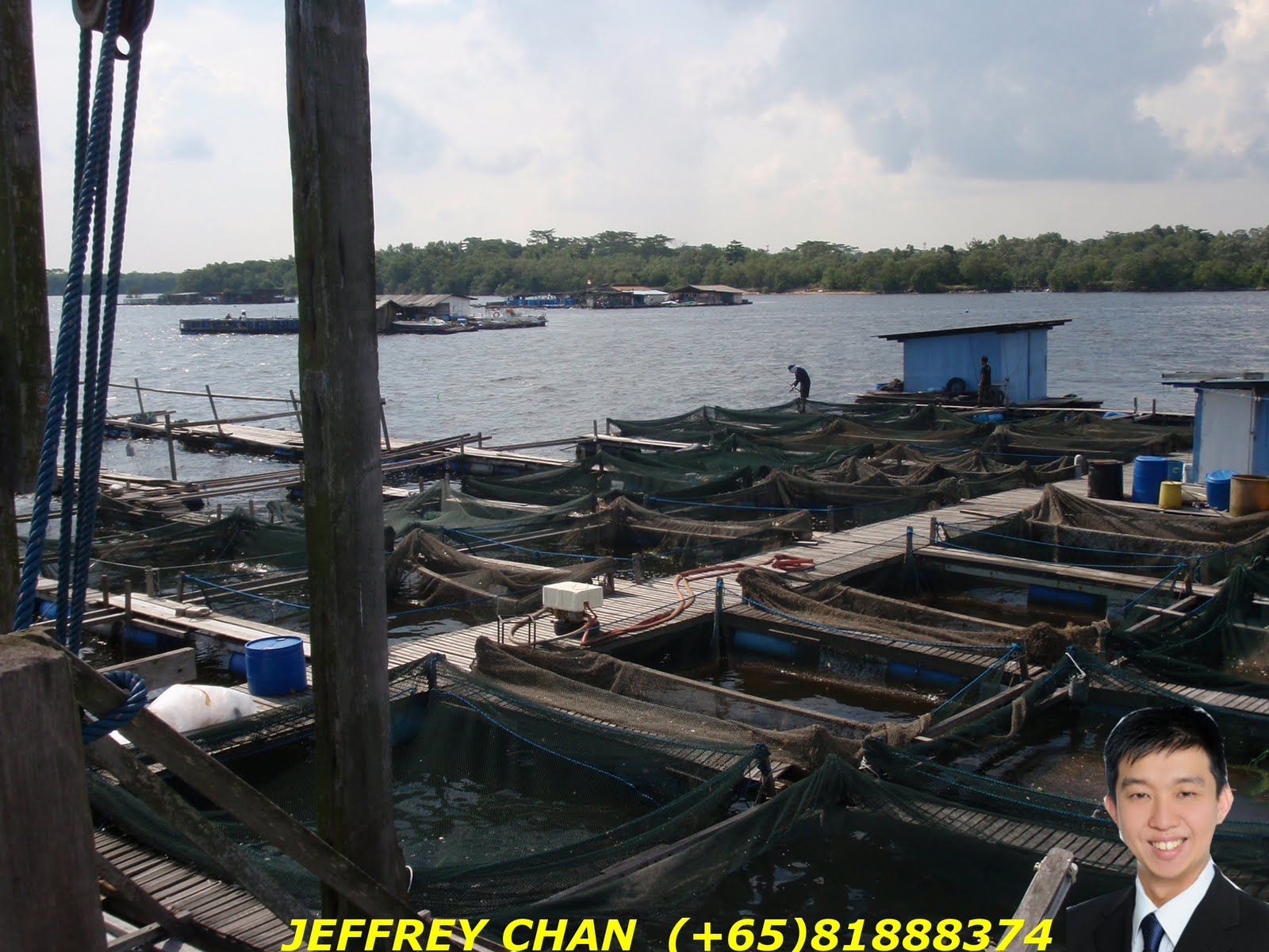 Jeffrey Chan & Property FISH FARM FOR SALE!