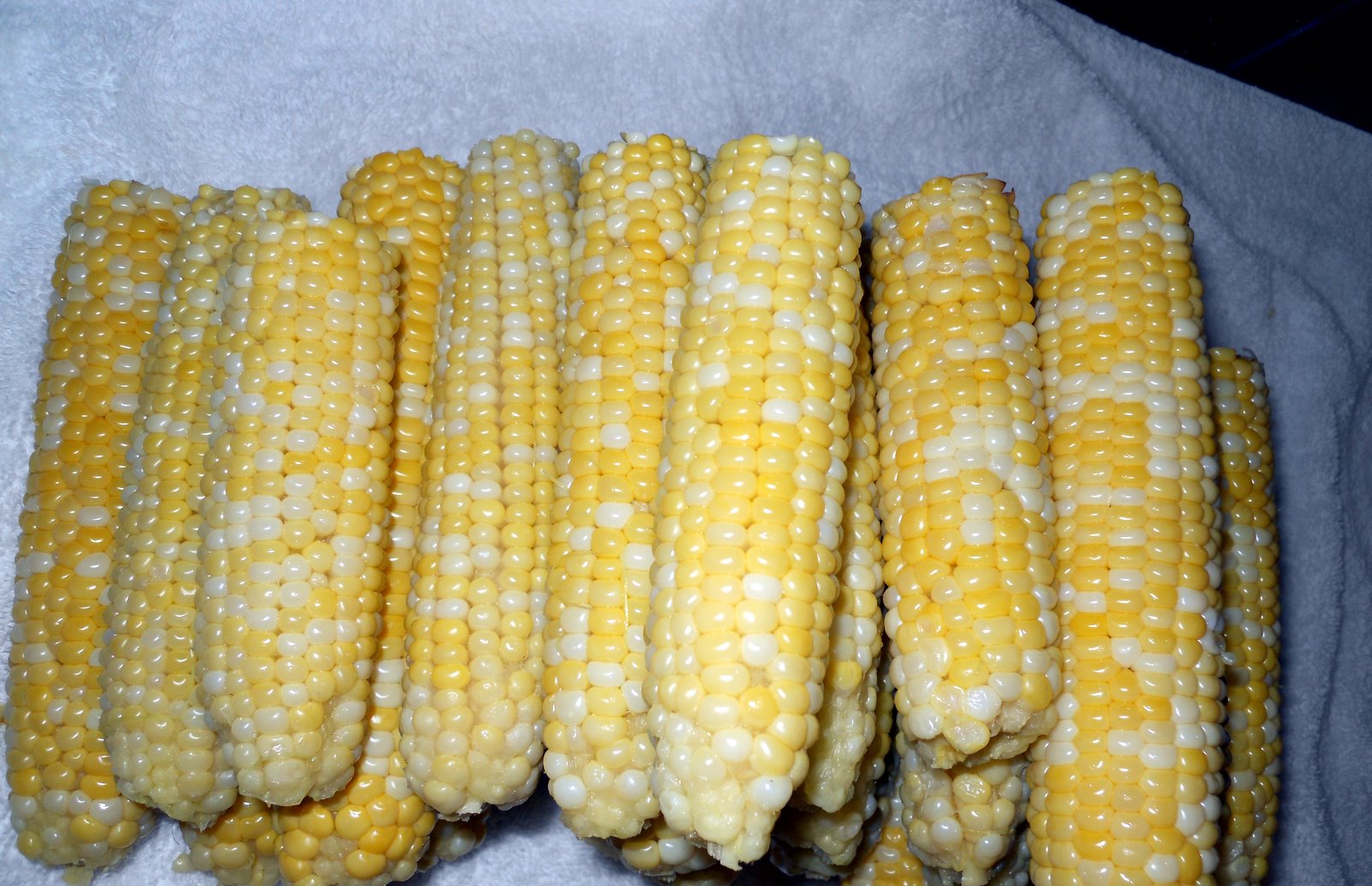 Home Garden How To Know When Corn is Ready to Harvest