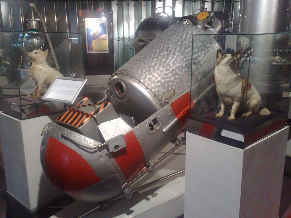 Белка и стрелка в музее космонавтики
