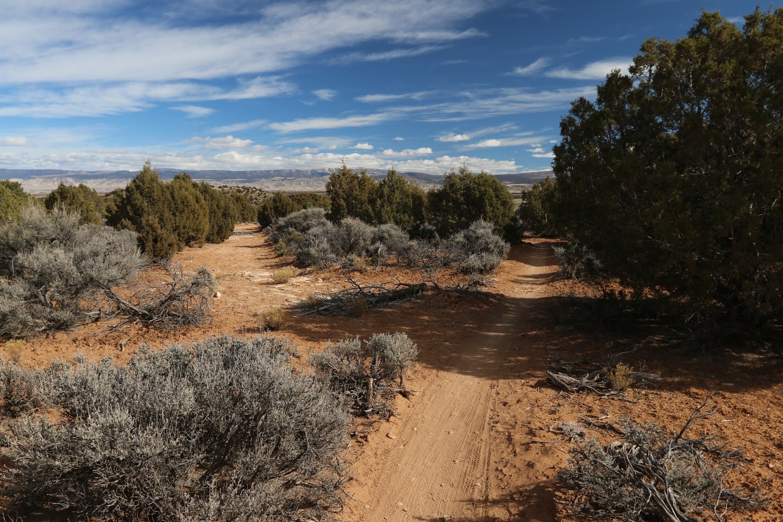 Buzzard Gulch Trails (9)