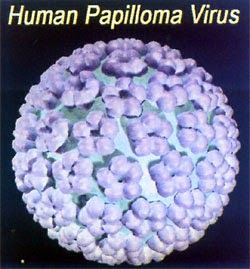 botemedel humant papillom virus wart virus in body