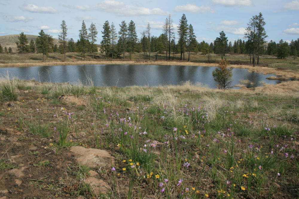 FunToSail Espanola Ponds, Spokane County, Washington
