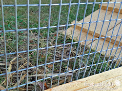 wire welded run chicken fencing coop garden 1x2 bend