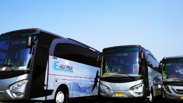 Eagle Bus Pariwisata: Menjelajah Nusantara dengan Sentuhan Kemewahan dan Kenyamanan
