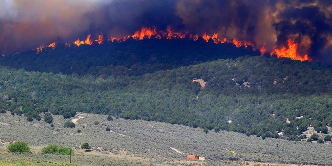 rokok api unggun diduga bikin hutan di gunung cikuray terbakar