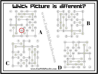Hashi Odd One Out Picture Puzzle Answer