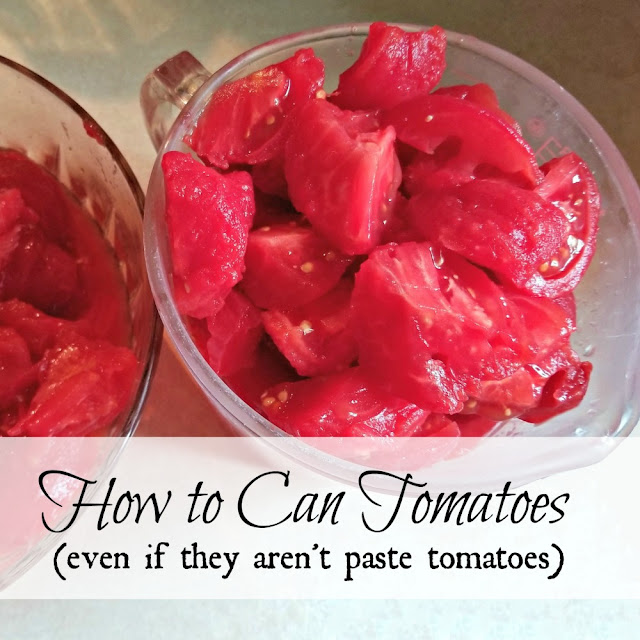 Canning Tomatoes 101 Oak Hill Homestead