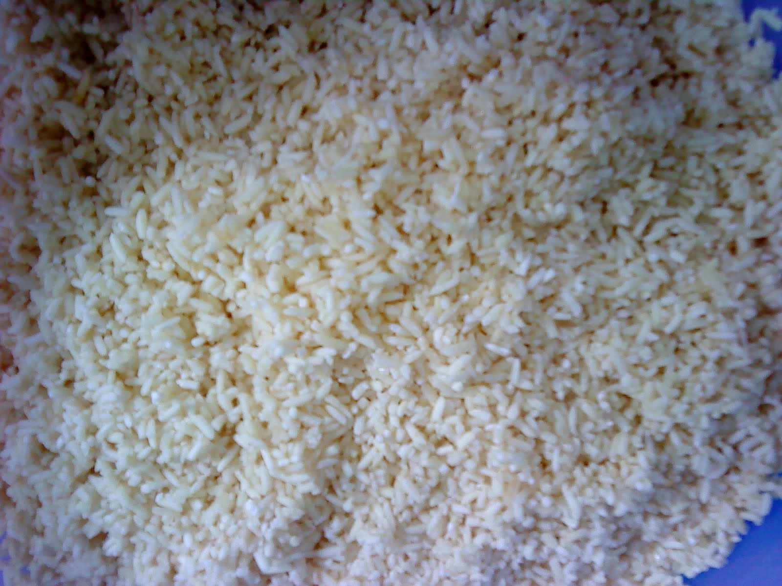 Cooking Pleasure Alkaline Glutinous Rice 'Kan Sui Chang' Dumplings