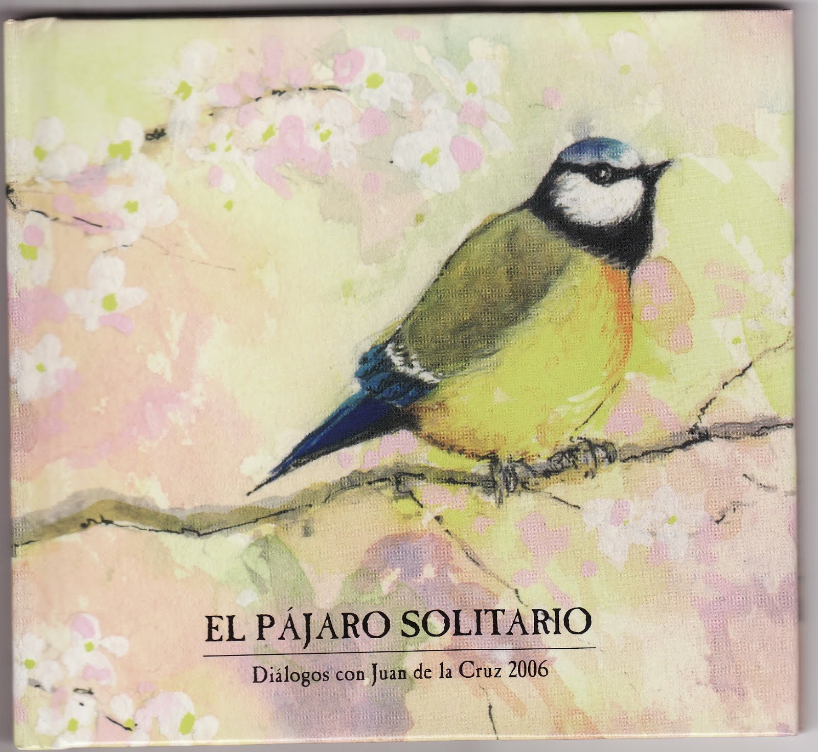 EL PÁJARO SOLITARIO