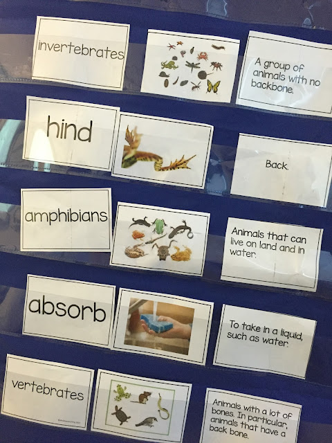 Vocabulary cards, words, pictures, and definitions for spring close read.