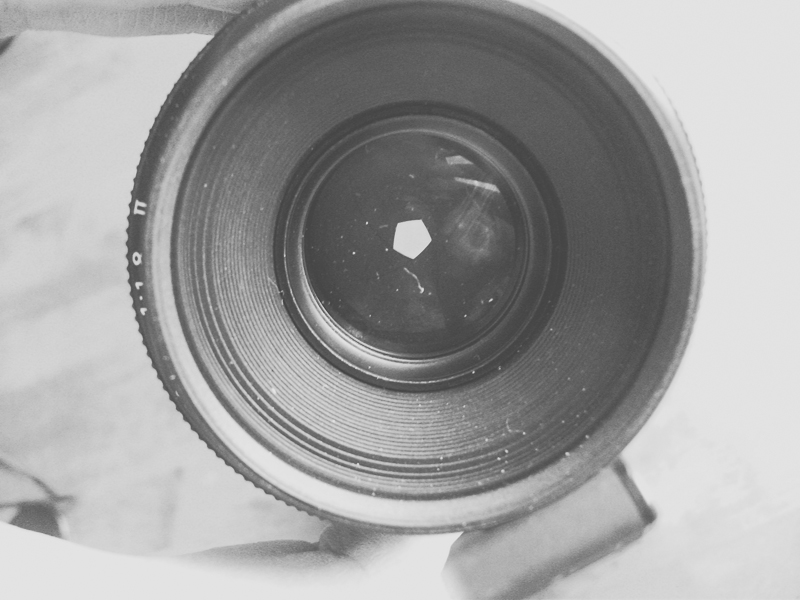 the pieper life 50mm Lens to Macro in 10 Steps