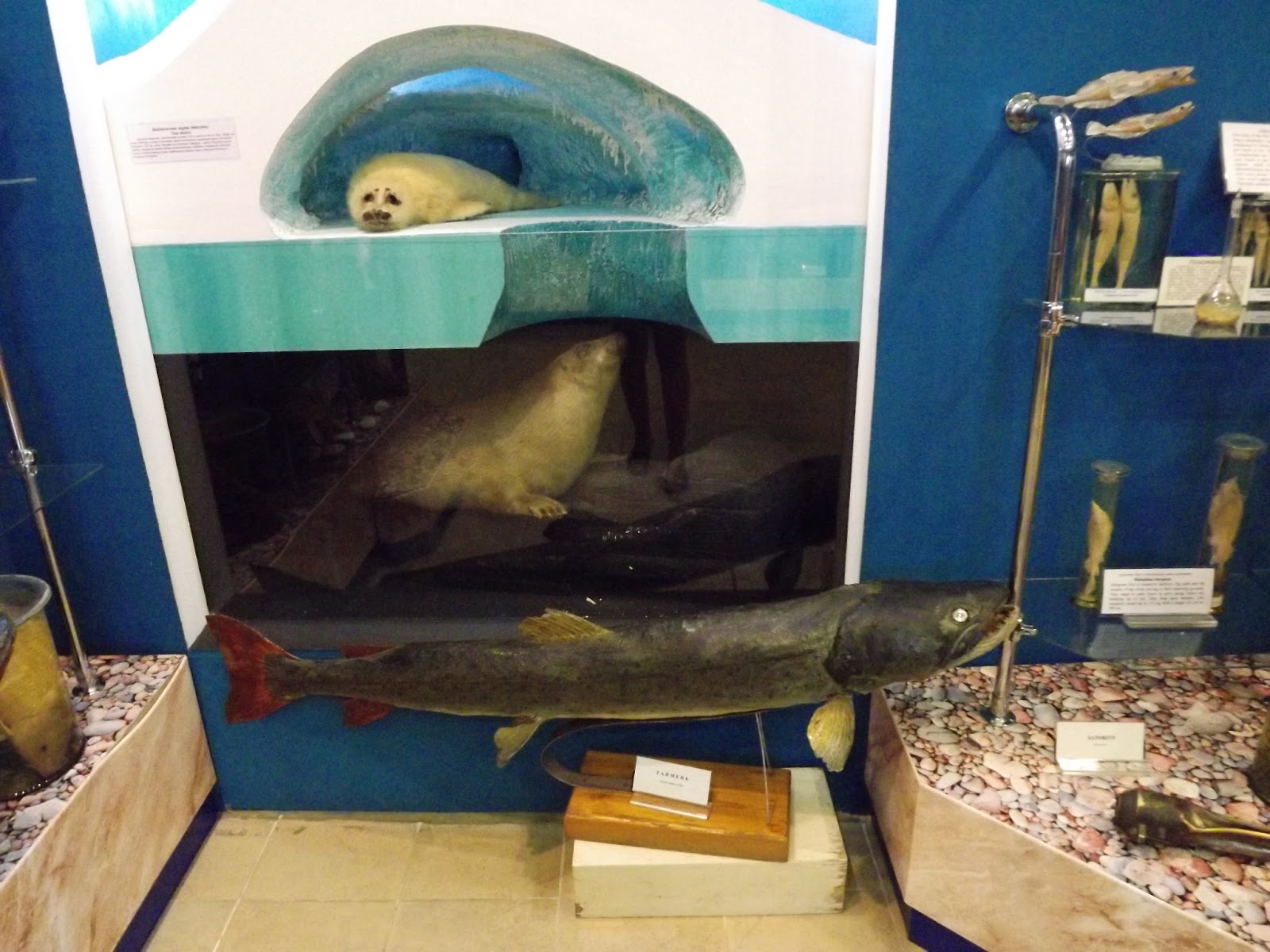 Лимнологический музей в листвянке