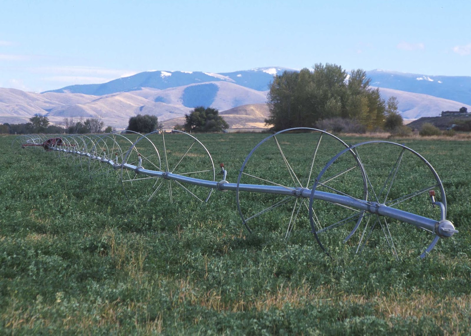 prairiemary INDUSTRIAL IRRIGATION THROUGH THE EYES OF A SMALL MONTANA TOWN