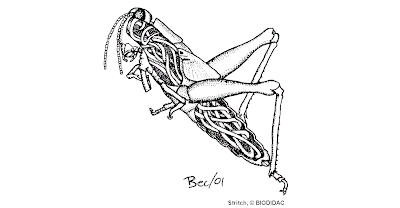Horsehair Worm: Horsehair Worm
