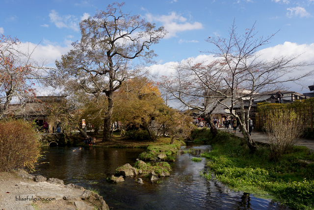 Oshino Hakkai Tour Autumn Blog