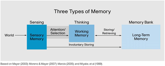 asia-s-psychology-blog-unit-6-memory