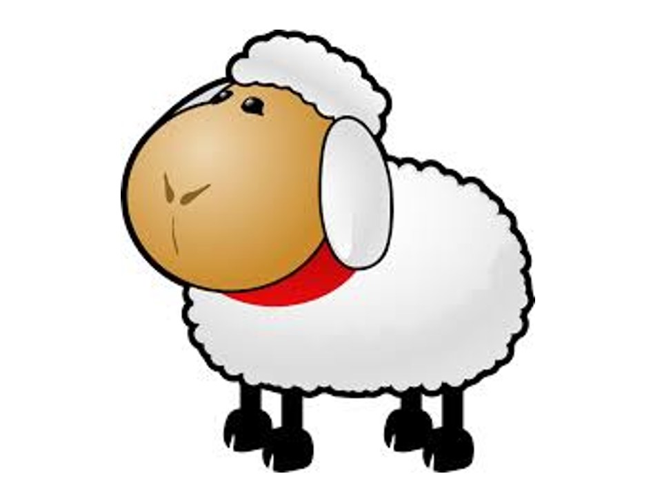 Interesting Facts about Land Animals