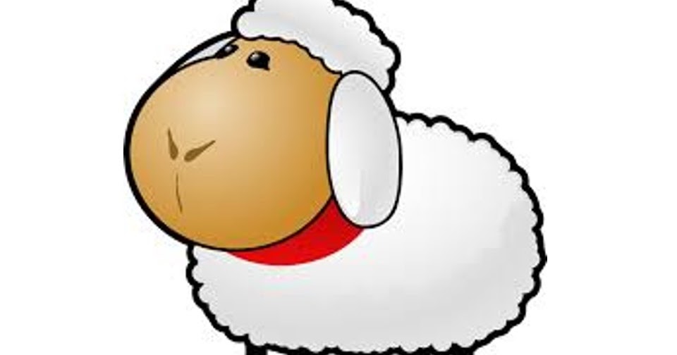 Interesting Facts about Land Animals