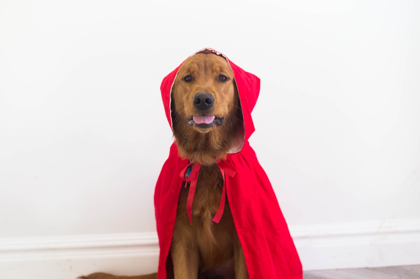 do it yourself divas DIY Little Red Riding Hood Cloak Halloween