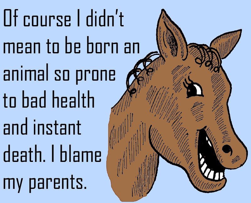 Grandma Slump Horse Doctor The Easiest and Hardest Job