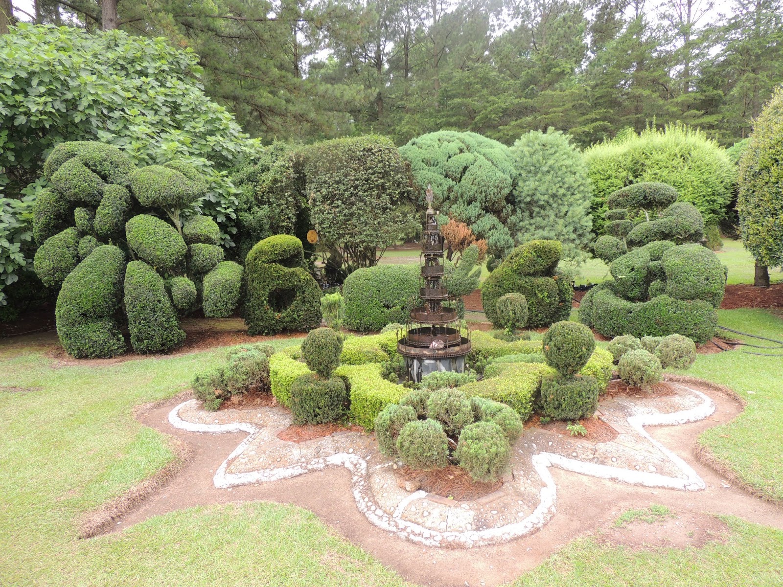 South Carolina Topiary Guy 58