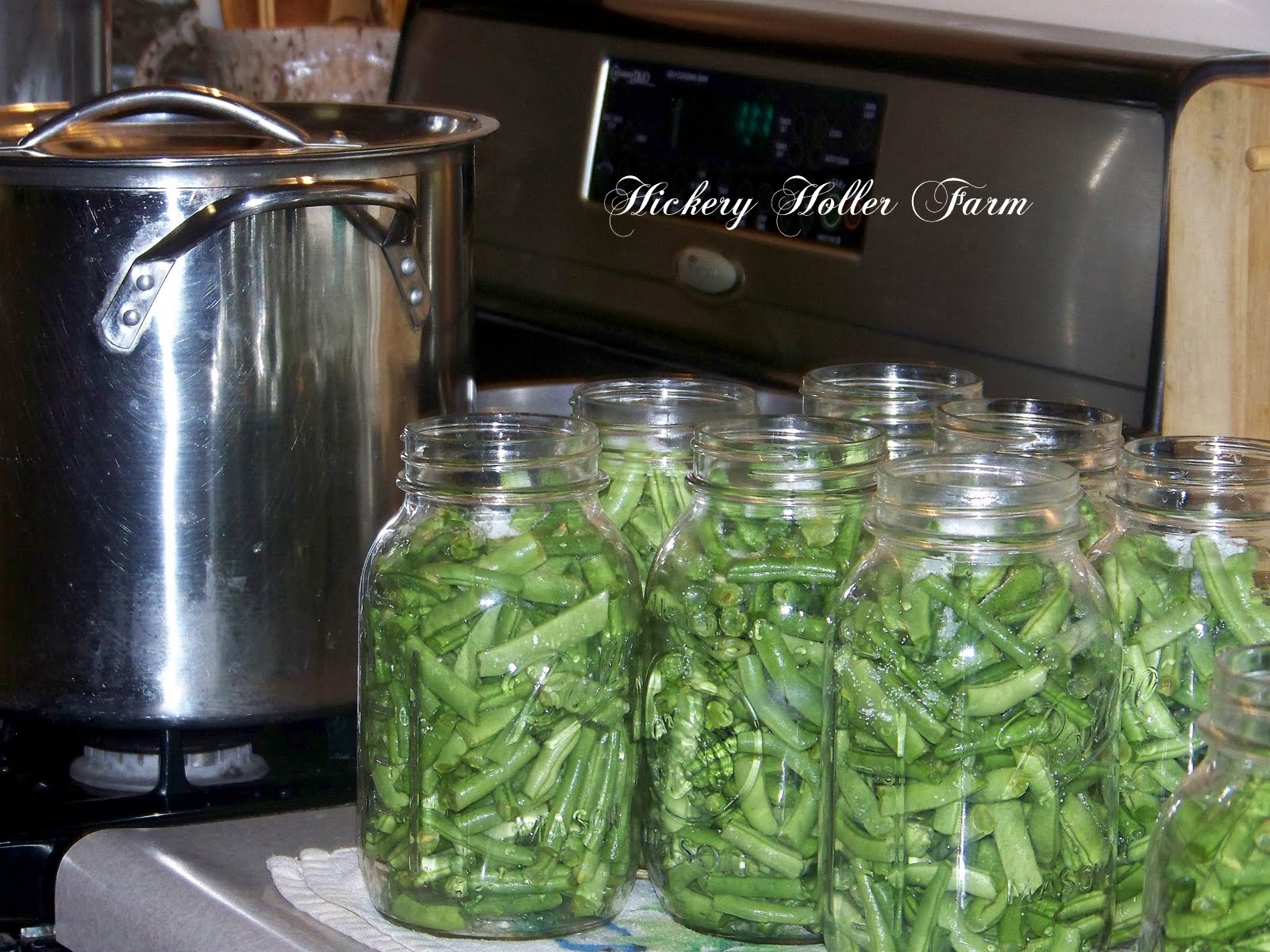 Hickery Holler Farm Canning Green Beans