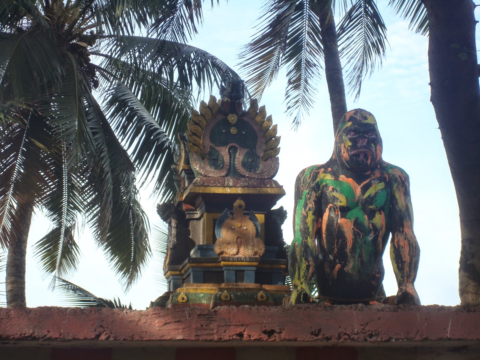 Chennai Daily Photo Cooum Kong